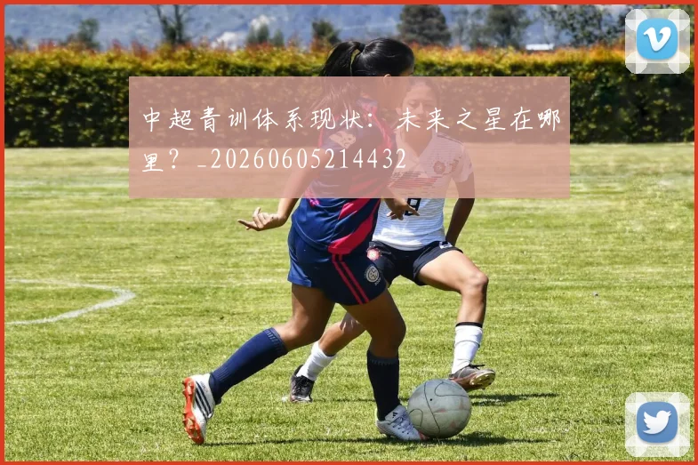 中超青训体系现状：未来之星在哪里？_20260605214432