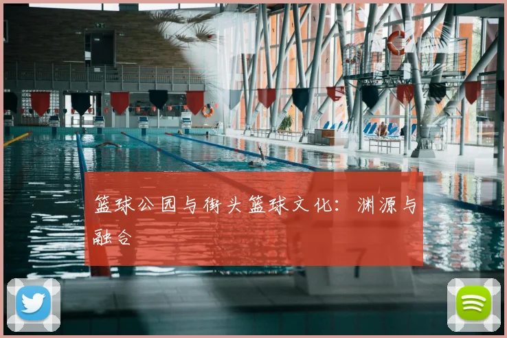 篮球公园与街头篮球文化：渊源与融合